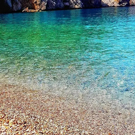 Artemis House Apartman *