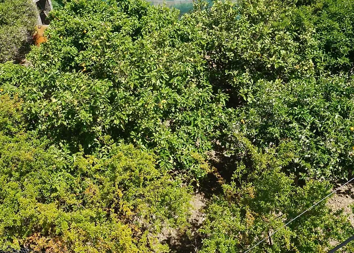 Artemis House * Kárpathosz