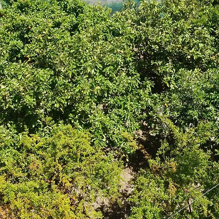 Artemis House * Карпатос