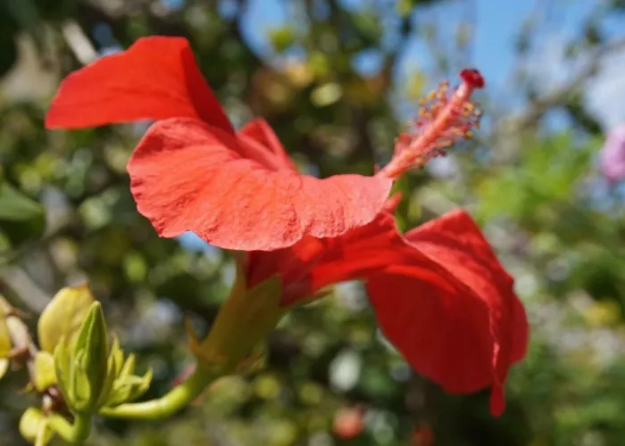 아파트 Artemis House 카르파토스